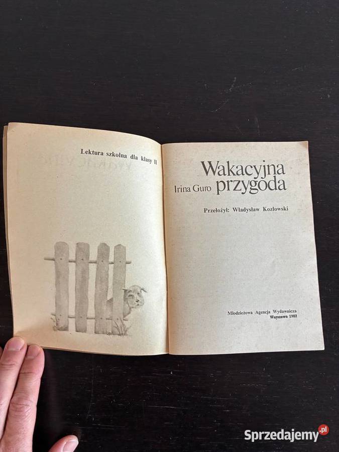 Irina Guro Wakacyjna przygoda ISBN 8320315883 Elbląg