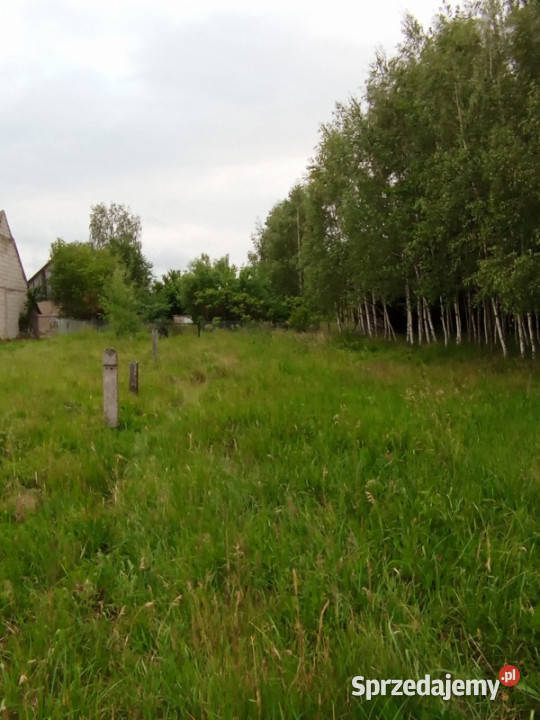 DOM NA WSI SAD ZIELEŃ PRZESTRZEŃ Morze