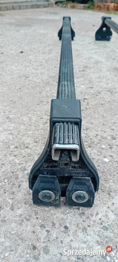 Belki Thule stan Gorzów Wielkopolski