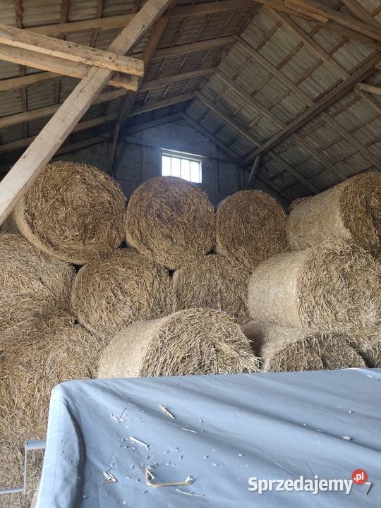 Sprzedam słomę Piątek