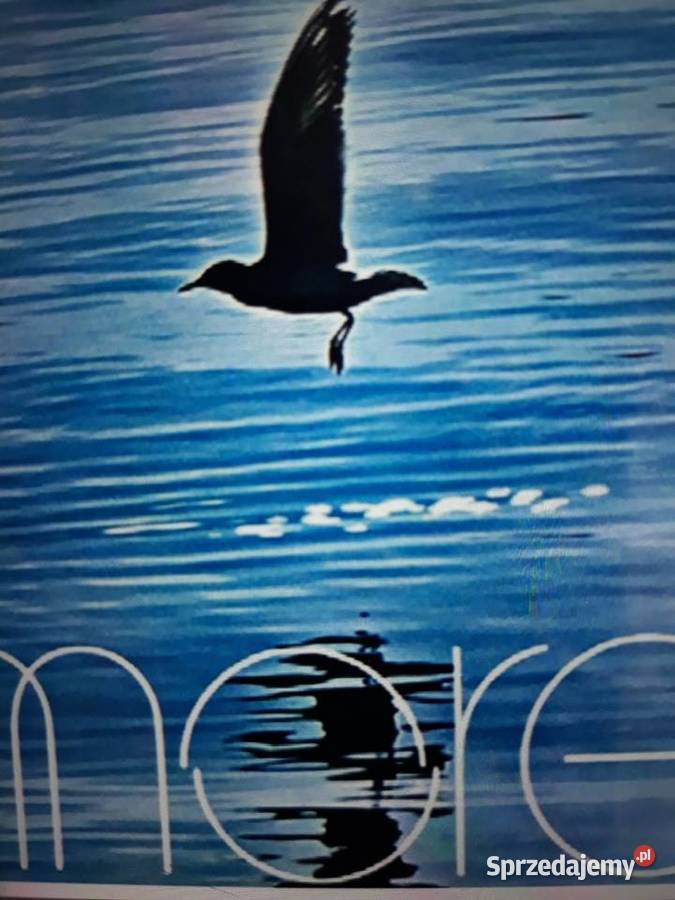 Archiwum jugosłowiańskiego jazz rocka MORE More podkarpackie Rzeszów