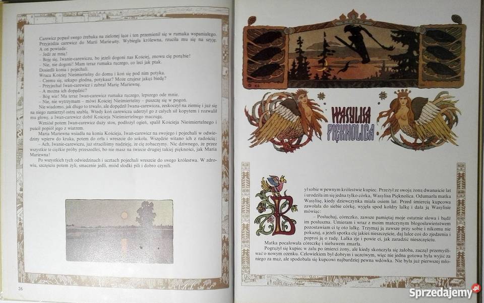 PIÓRKO FINISTA JASNEGO CUDSOKOŁA ROSYJSKIE Kultura i Rozrywka Zamość