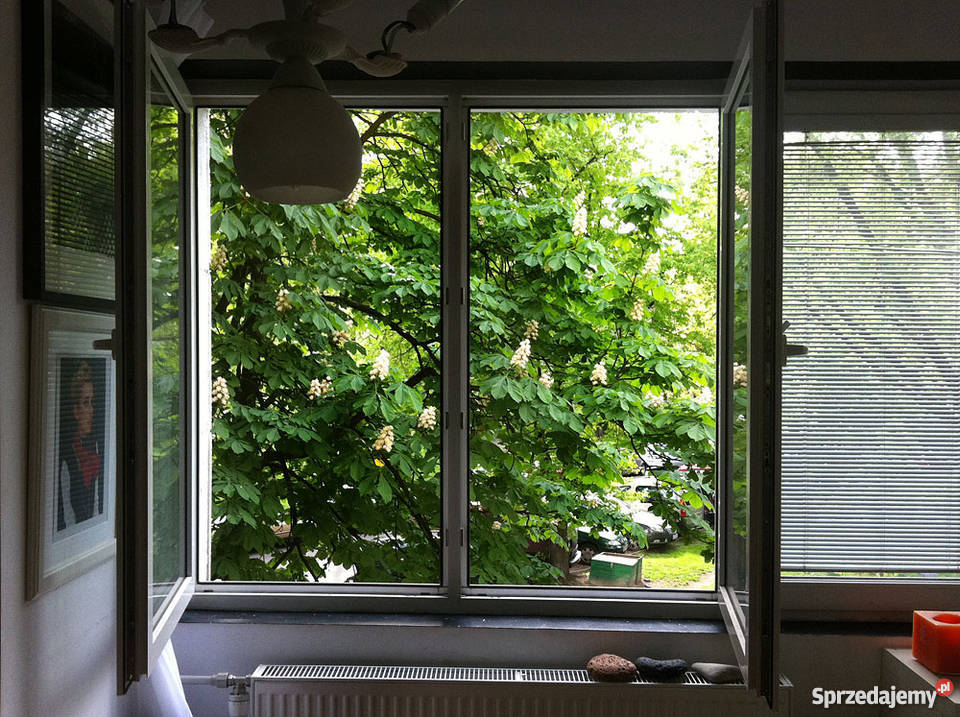 Warszawa Wola Koło Magistracka parku blok Warszawa