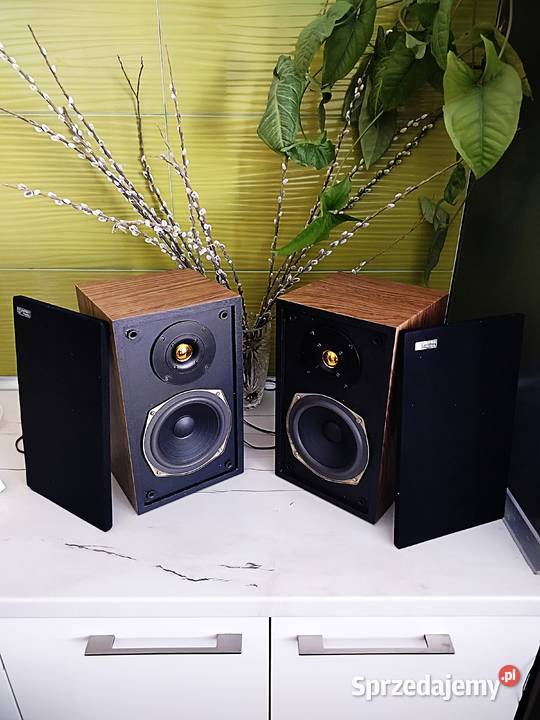 Amator DDS 101 stereo renowacji plus kolumny mazowieckie Mińsk Mazowiecki