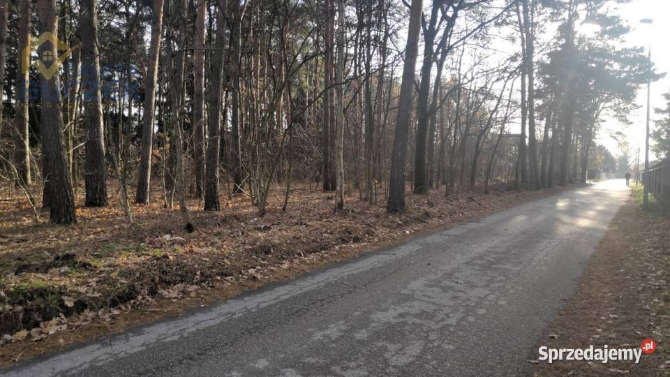 Sprzedam działkę budowlaną w Kuznocinie w gminie Sprzedaż Kuznocin