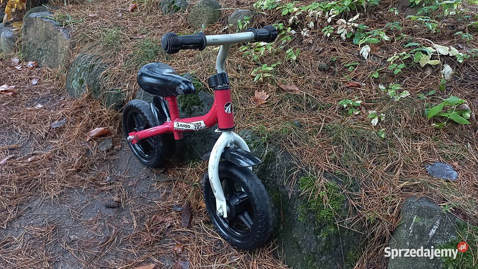 Rower Dziecięcy Rowerek Biegowy Avigo dziecka w Wołów