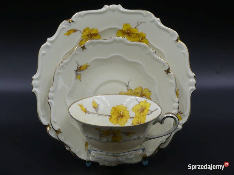 Komplet śniadaniowy Sorau Żary Forsycja stan wielkopolskie sprzedam