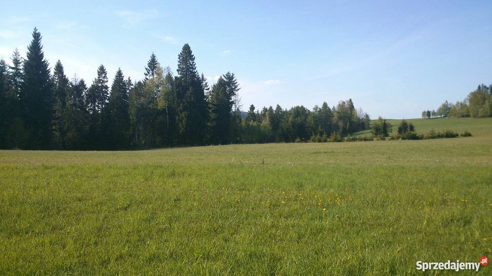 działkę w KRYNICY ZDRÓJ MOŻLIWOŚĆ 58zł/m2 Krynica-Zdrój
