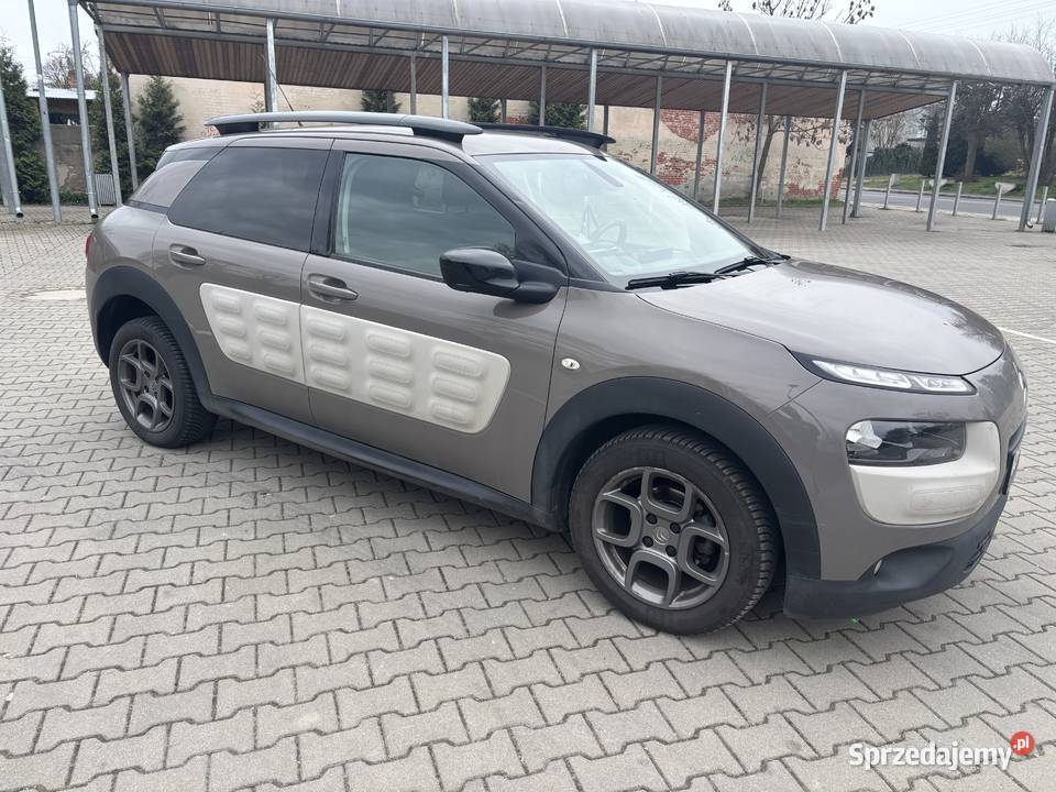 Citroen c4 cactus Malczyce