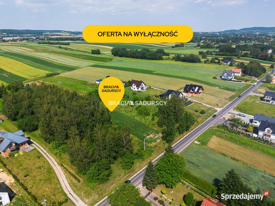 sprzedaży działki Cholerzyn 5800m2 sprzedam