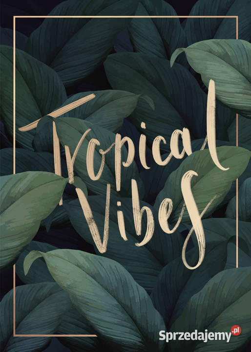 Obraz plakat liście zielony tropikalny 21 x 30 zielony Obrazki i obrazy Łódź