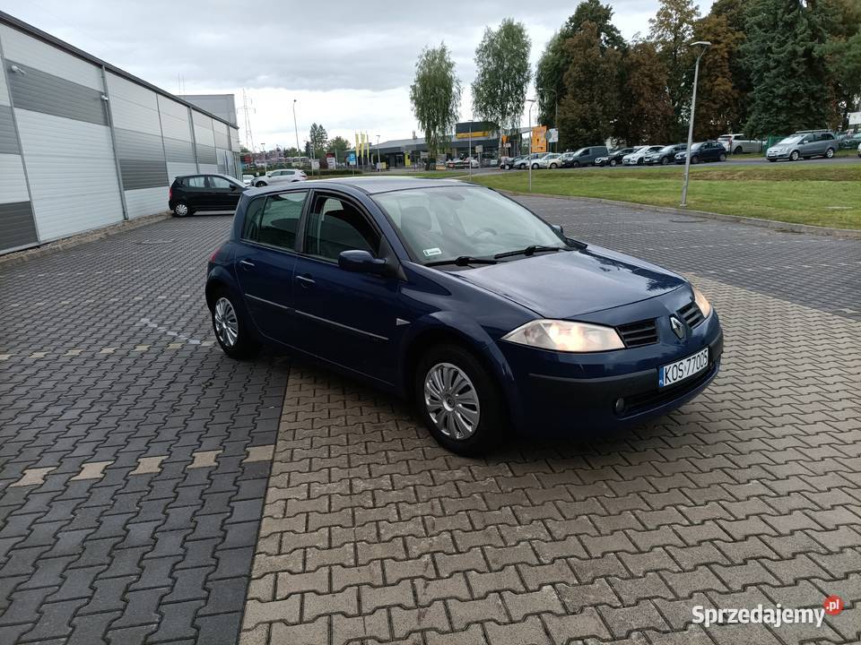2003 Renault megane 2 15dci nieuszkodzony Megane Renault Bobrek