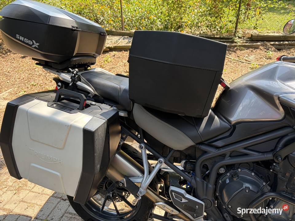 Triumph Tiger 1200 turystyczny Wołuszewo