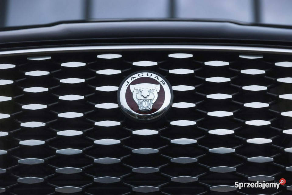 Jaguar FPACE Jaguar FPACE 20 250 SESalon I wł czujnik zmierzchu F-Pace łódzkie Łódź