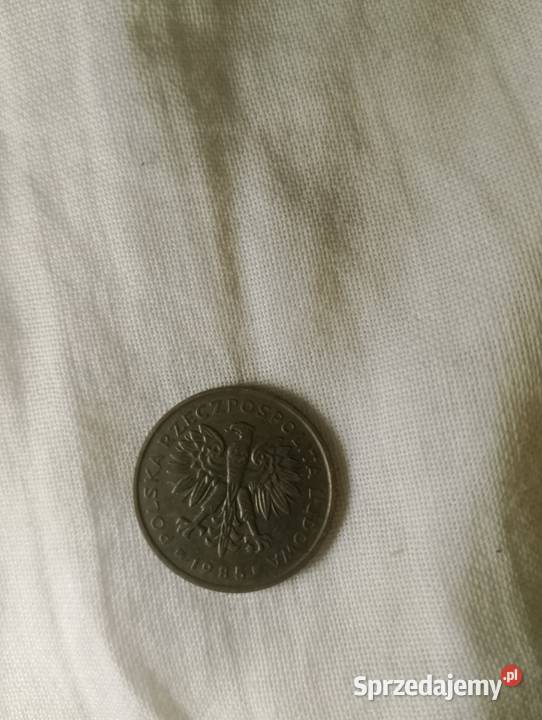 Monety pomorskie Czarna Woda