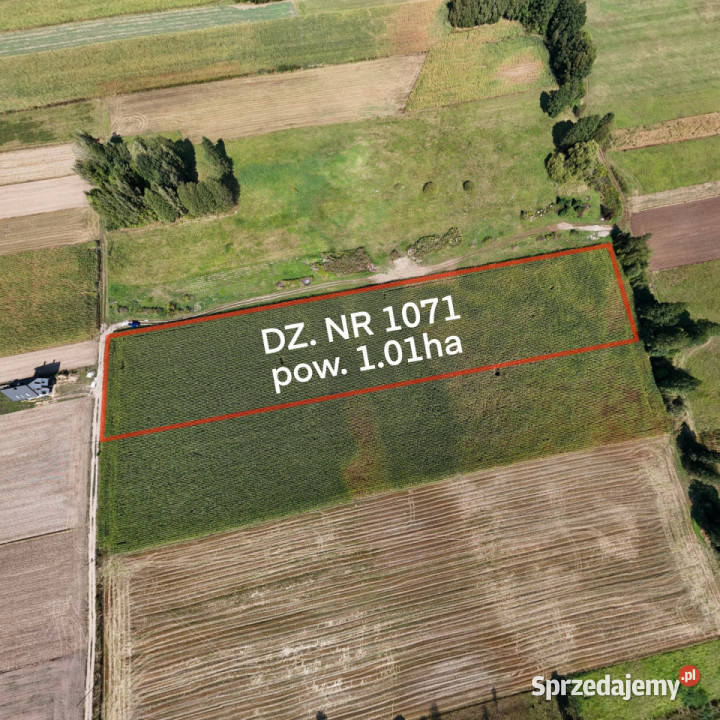 Duża działka z MPZP 1 ha Rębków utwardzona