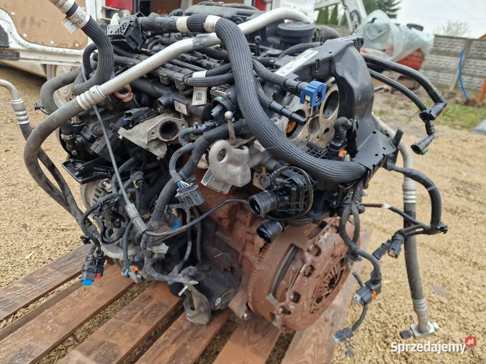 silnik PSA DW10FU pochodzi z Boxera przywieziony Silniki kompletne Zelów sprzedam