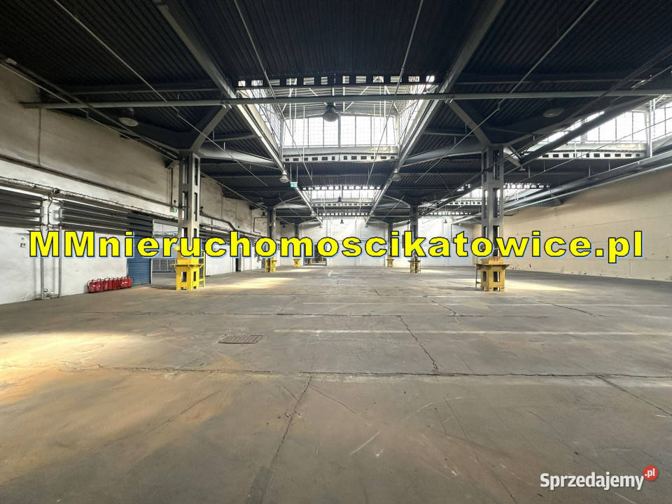 Magazyny do wynajęcia Sosnowiec do 4000 m2 rampy parking