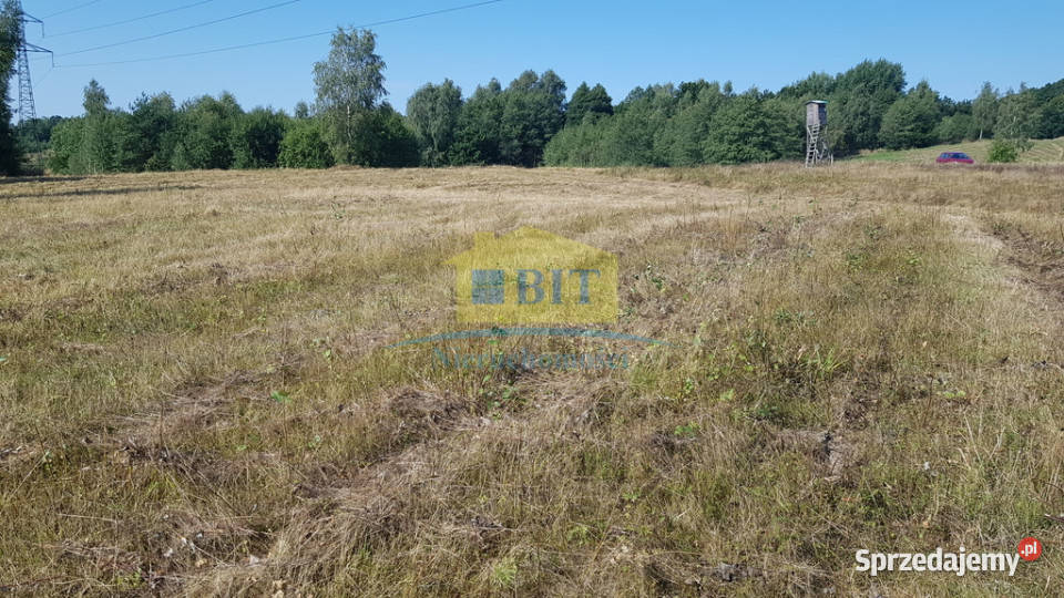 Działka 212 ha jeziorze Drawskim Kluczewo