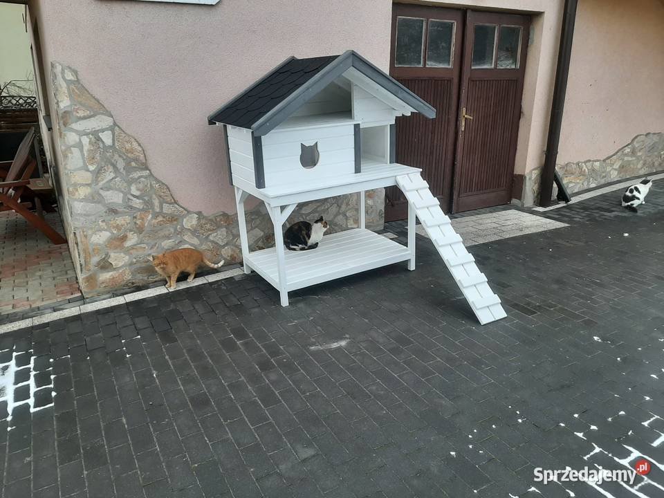 Buda dwóch kotów Jordanów
