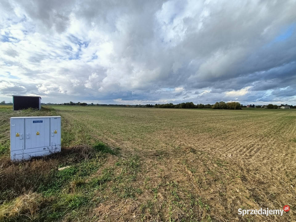 Działka rolna w tym budowlana około 050ha 40m2 Sprzedaż lubelskie Ludwin