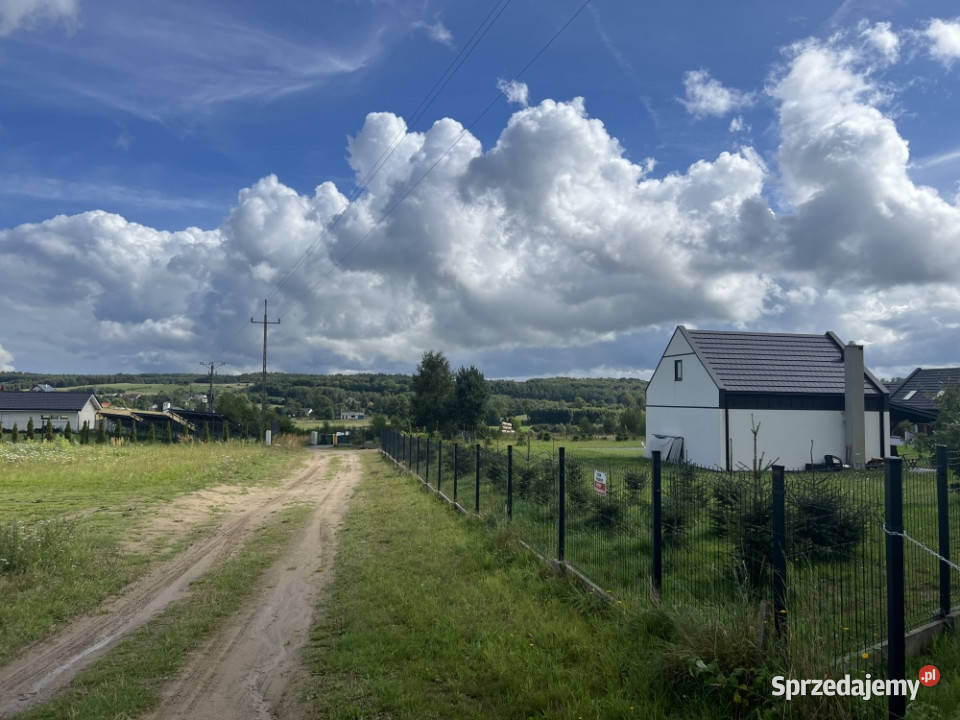 Działka siedliskowa 3 003 m z prawem zabudowy Sopieszyno