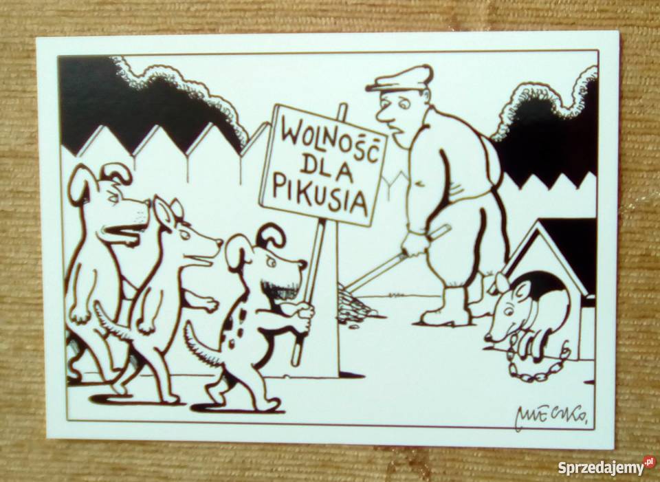 WOLNOŚĆ PIKUSIA GALERIA ANDRZEJA MLECZKI lubelskie sprzedam