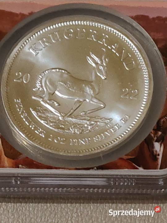 Moneta srebrna Krugerrand 1 Rand NGC Numizmatyka Ostrów Mazowiecka