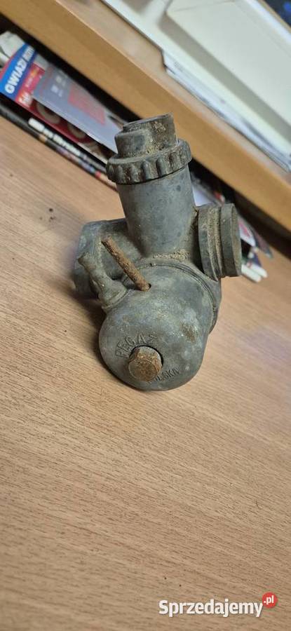 Junak gazela gaznik Pozostałe Tarnowskie Góry