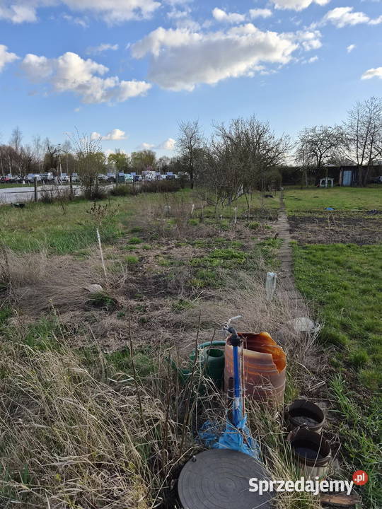 OGRÓDEK DZIAŁKOWY NA KLECINIE ROD PRZYJAŹŃ rekreacyjna Wrocław