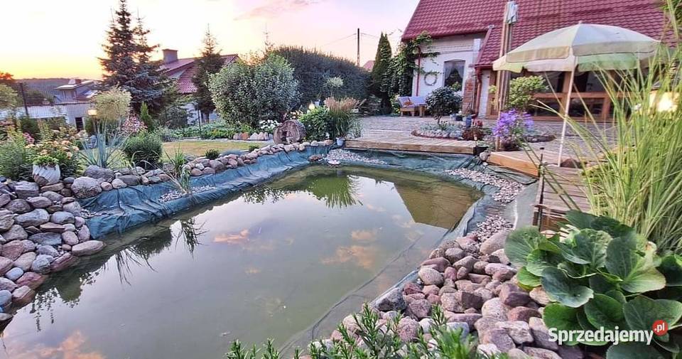 Sprzedam klimatyczny dom siedlisko na wsi 3661zł/m2 Stary Dzierzgoń