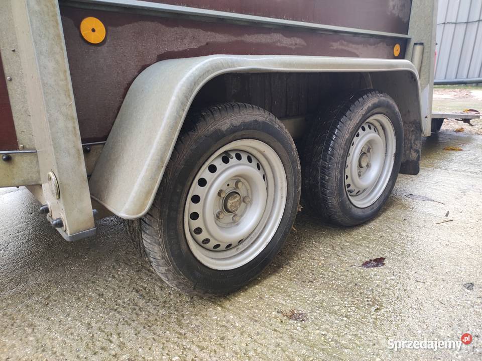 Przyczepa do koni Brenderup Zgierz sprzedam