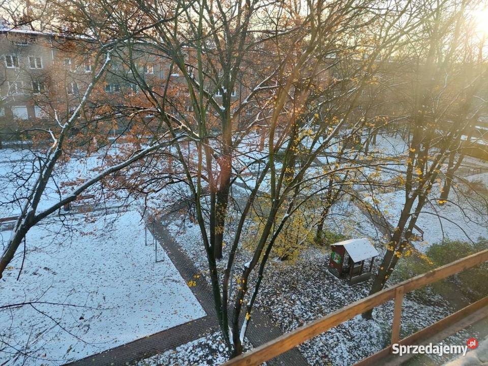 2pok 40met Grudziądzkiej PIWNICASTRYCH Wrocław Liczba pokoi 2