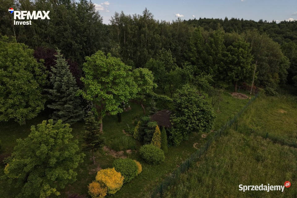 Duża działka 76 arów z klimatem A4 las wąwóz Sprzedaż małopolskie Grojec