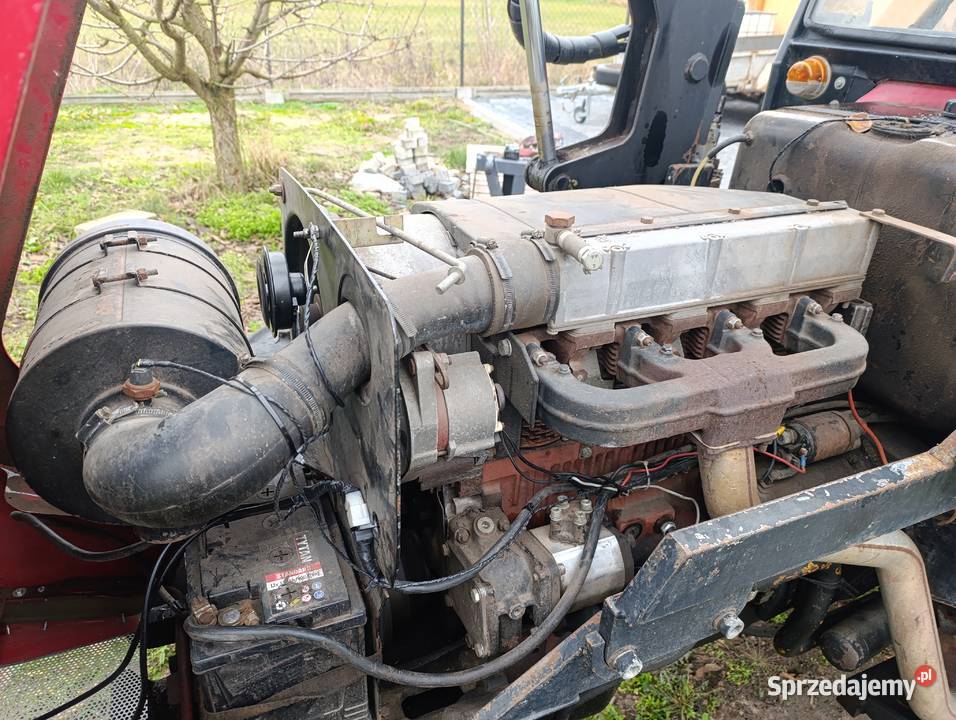 Caiagni sadowniczy Potkanna