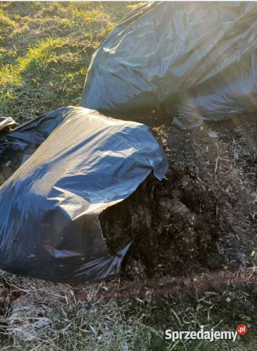 Obornik koński nie granulowany