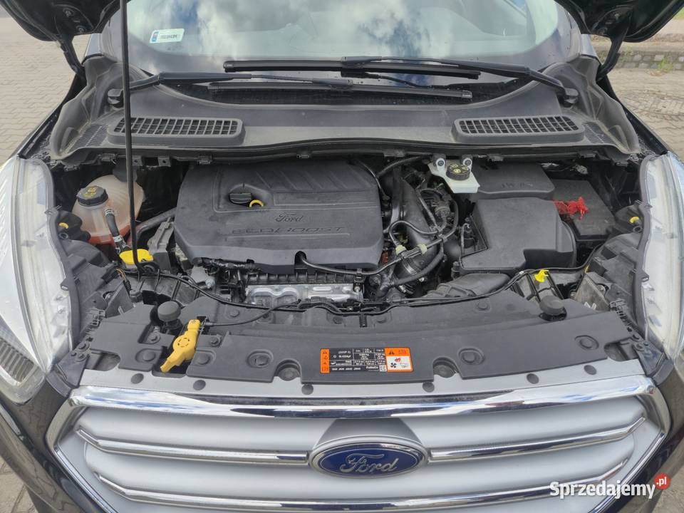 Ford Kuga Strzelce Krajeńskie