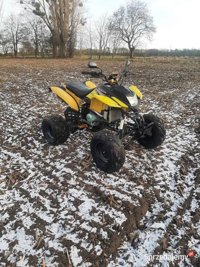 Quad atv bashan loncin 200 Rok produkcji 2015 kujawsko-pomorskie Jaworze