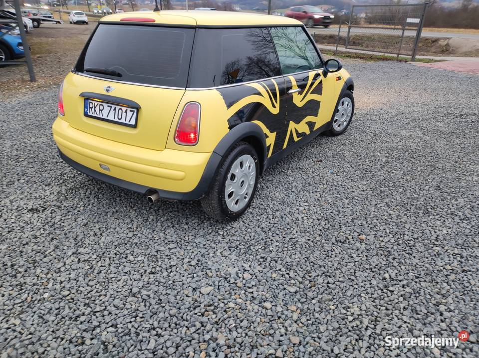 Mini One 16 Rok produkcji 2003 Rymanów