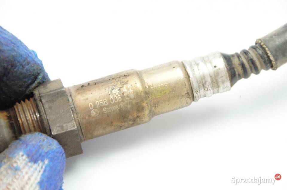 MASERATI QUATTROPORTE SONDA LAMBDA 0258006106 kujawsko-pomorskie