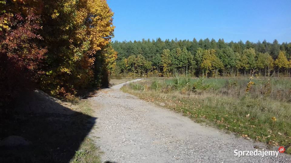 Sprzedam nieruchomość zabudowaną 6 budynków Ciche