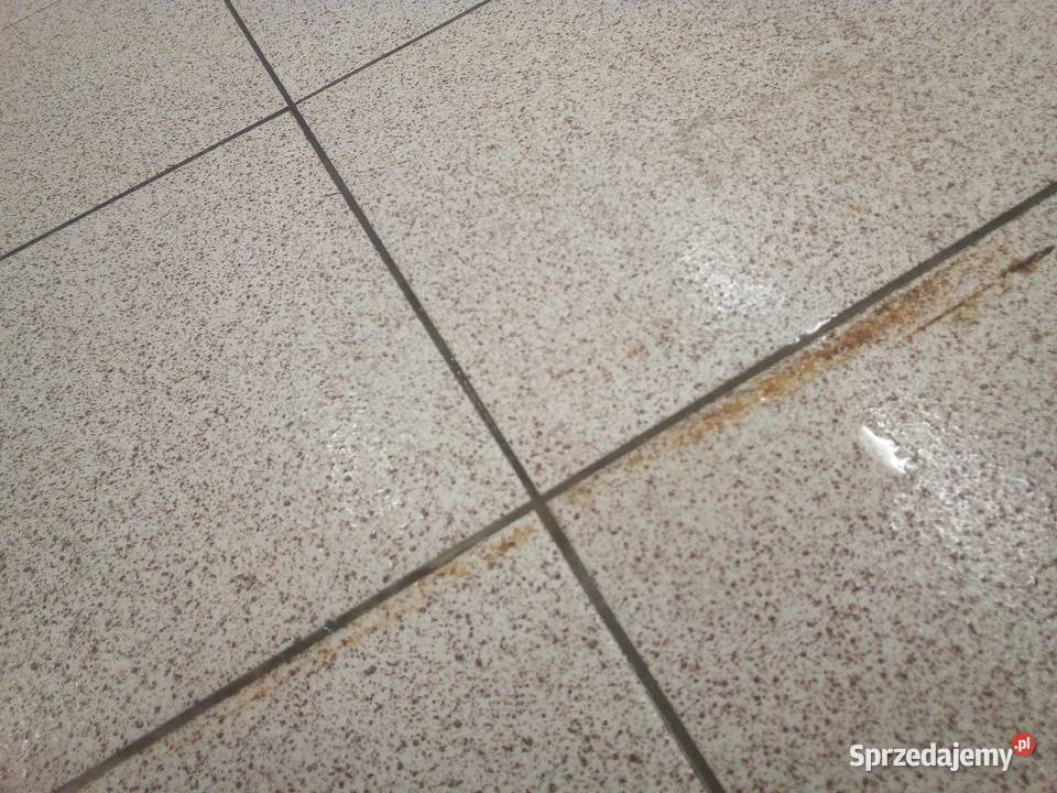 Mycie Paneli Fotowoltaicznych Mycie Elewacji