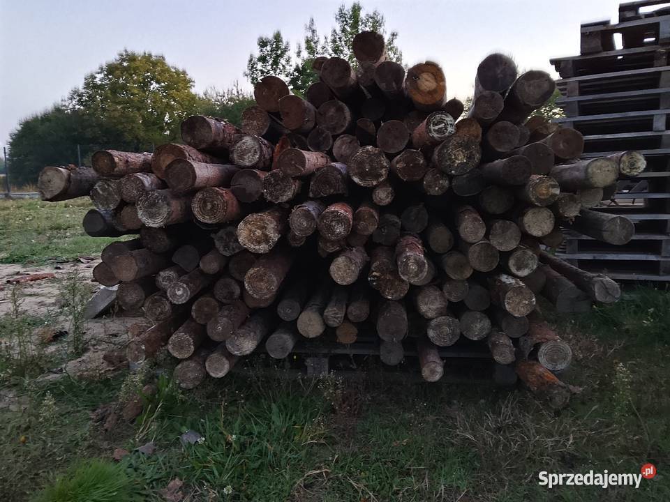 Stemple budowlane sosnowe 3m nowe suche Mirzec