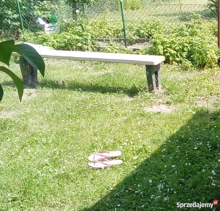 Do sprzedania działka rekreacyjna ROD ZAGRODA