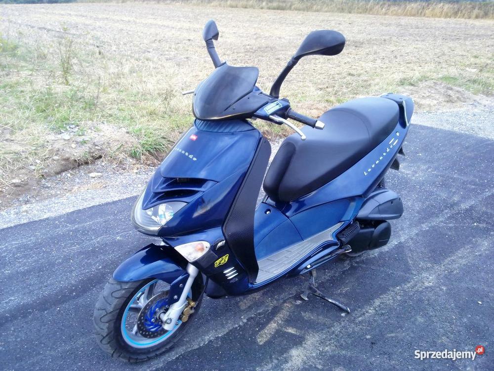 Aprilia Leonardo 250 automatyczna małopolskie Olkusz