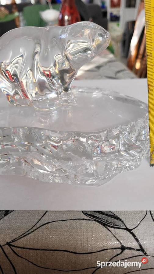 Niedźwiedź szkło sprzedam