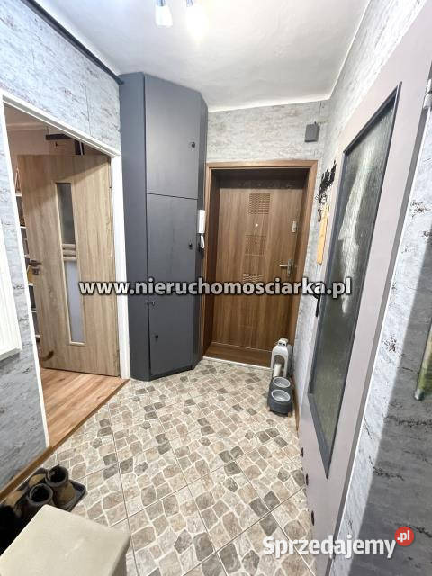 sprzedaży mieszkania 3504m2 2 pokoje Wodzisław śląskie Wodzisław Śląski