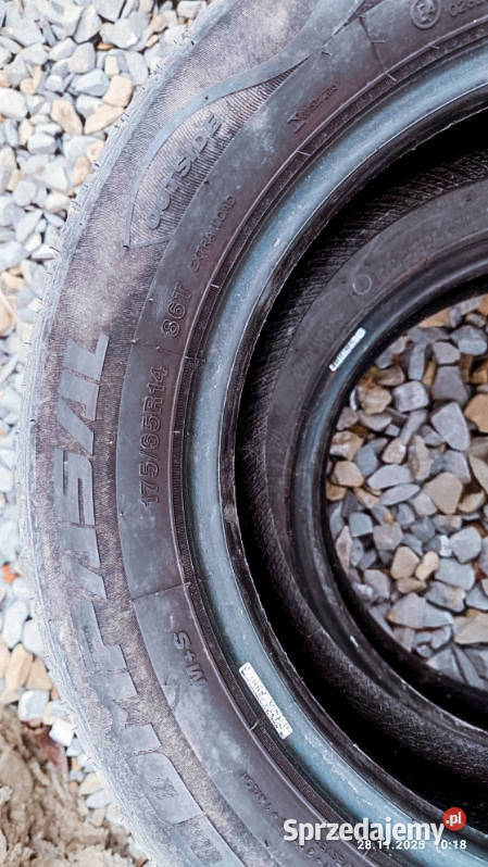 Opony zimowe Compasal 17565 R14 kpl 175 podkarpackie Krosno