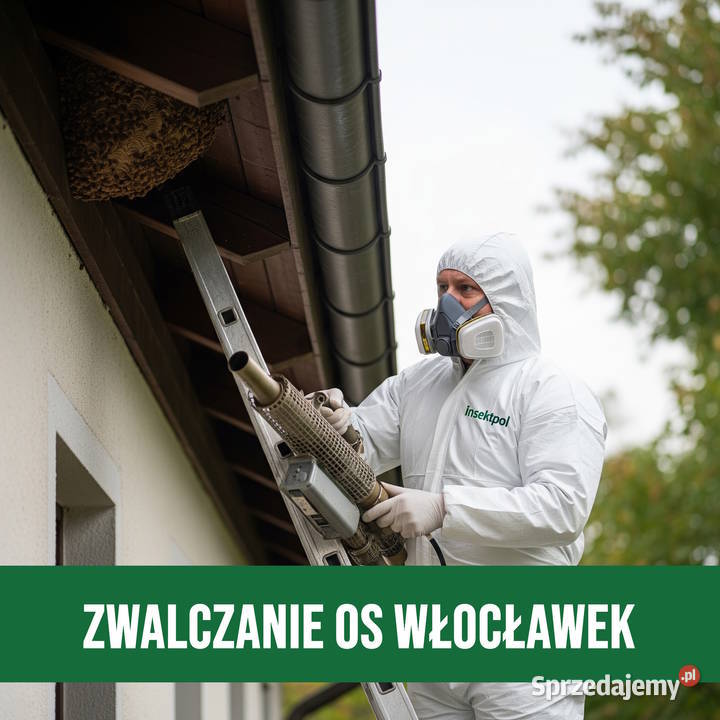 Zwalczanie Os Włocławek Usuwanie Gniazd
