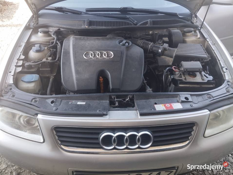 Audi a3 16 benzyna Ściborzyce sprzedam